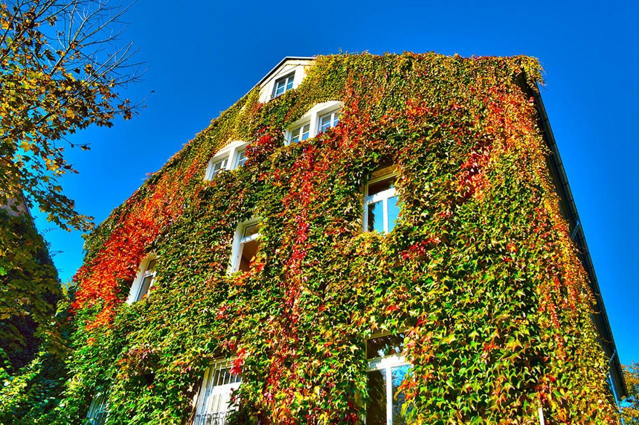 Schoena Einliegerwohnung Reinhardtsdorf-Schona Экстерьер фото